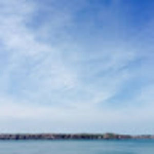 Meet your Posher, Shannon robert